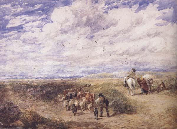 David Cox Keep the Left Road (mk47) oil painting picture